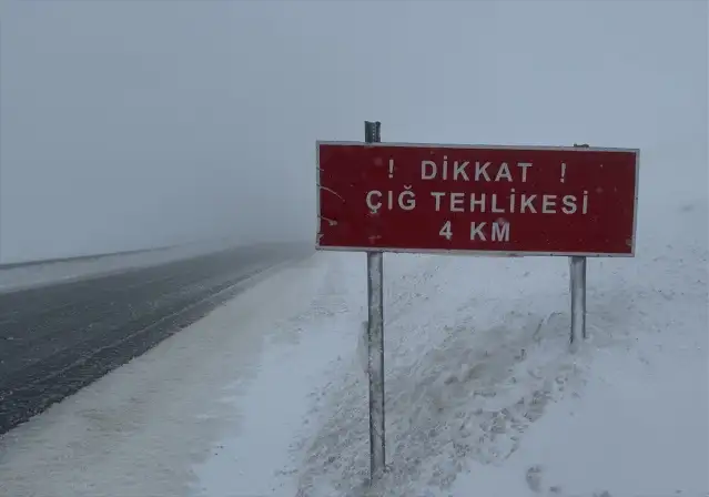 Doğu Karadeniz ve Doğu Anadolu için çığ uyarısı yapıldı