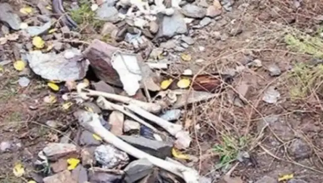 Yargıtay, Kulp Davası’nı zaman aşımından düşürdü