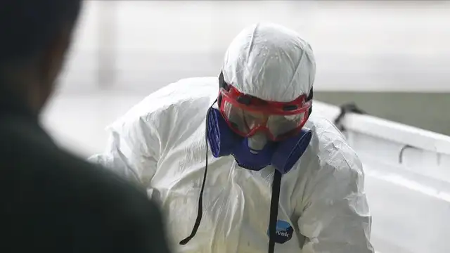 Nijerya'da yılın ilk çeyreğinde 118 kişi Lassa ateşi hastalığından hayatını kaybetti