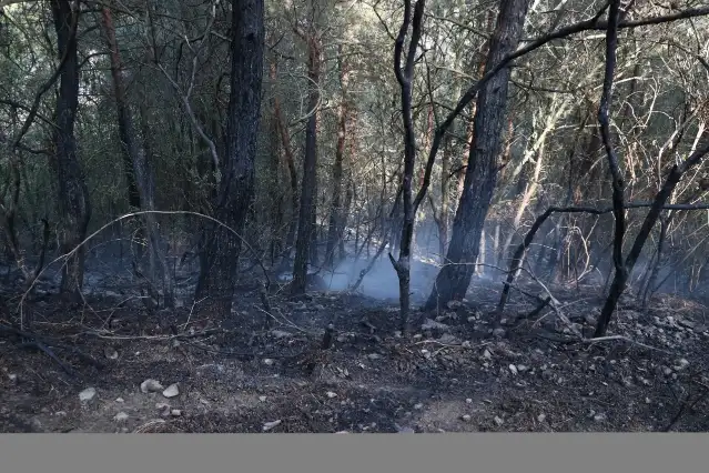Adıyaman'da çıkan yangını söndürme çalışmaları sürüyor