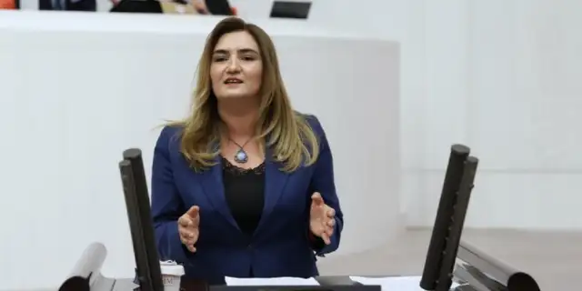 Sevda Erdan Kılıç: Süper izin altında süper talan planı