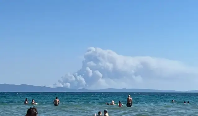 Çanakkale'de orman yangını! Boğaz trafiği tek yönlü askıya alındı