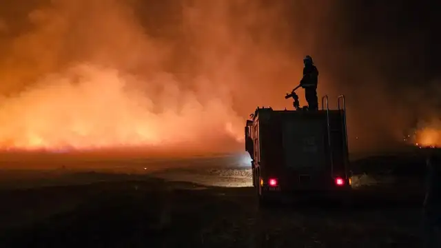 Tarım ve Orman Bakanlığı yangının bilançosunu açıkladı