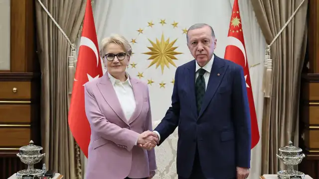 İddia: Akşener oğlu için Erdoğan’dan ne istedi?