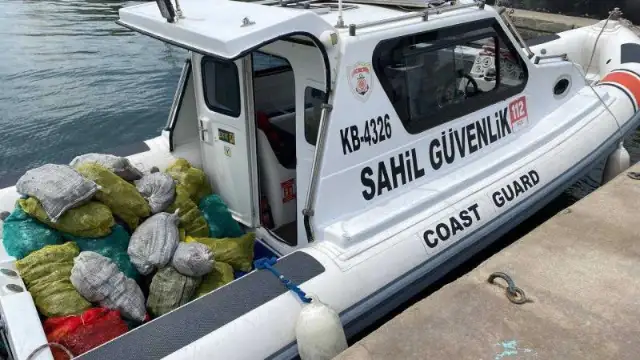 İstanbul'da 2 ton kaçak midye ele geçirildi. Bize neler yediriyorlar?