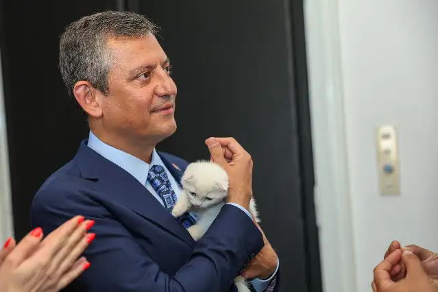 Kedi Şero'ya kardeş geldi! "Doğduğu gecenin anısına adını Zafer koyduk"