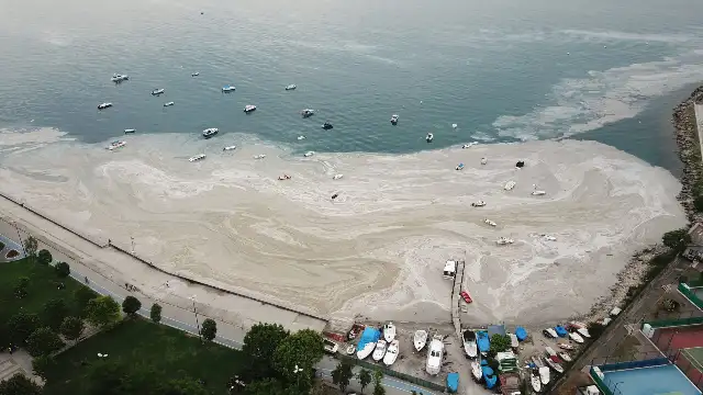 Marmara Denizi'nde müsilaj riski devam ediyor: "Önlem alınmazsa yararlanılamaz hale gelir"