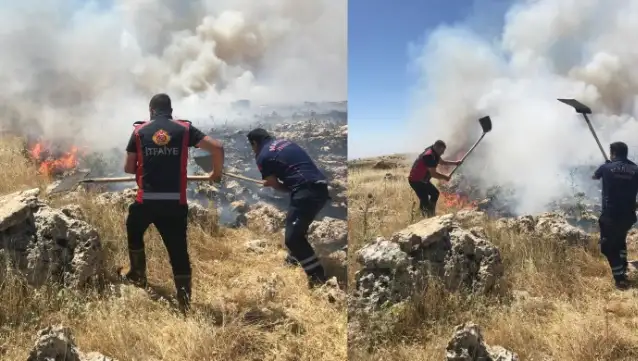 Mardin'de ormanlık alanda çıkan yangın kontrol altına alındı