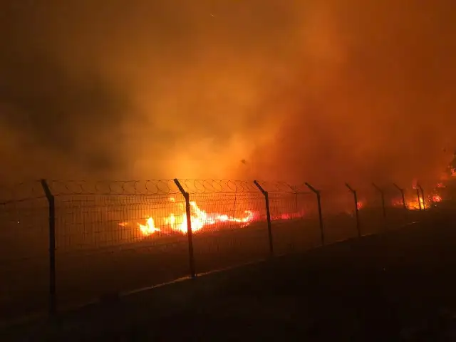 Orman yangınlarında geçen yıla oranla yüzde yüz artış