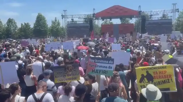 Sokakta yaşayan hayvanlar için adalet mitingi