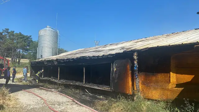 Bolu'da feci yangında 20 bin tavuk öldü