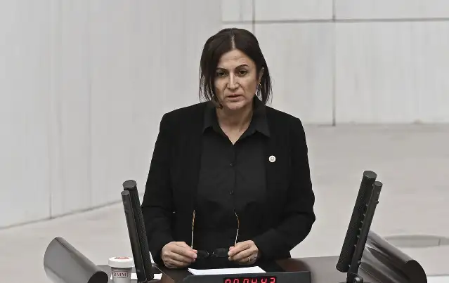 CHP'li Elçi: Leyla Zana'ya yönelik küfür ve hakaretler kabul edilemez