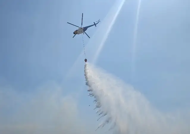 İzmir Dikili'de çıkan orman yangınına müdahale ediliyor