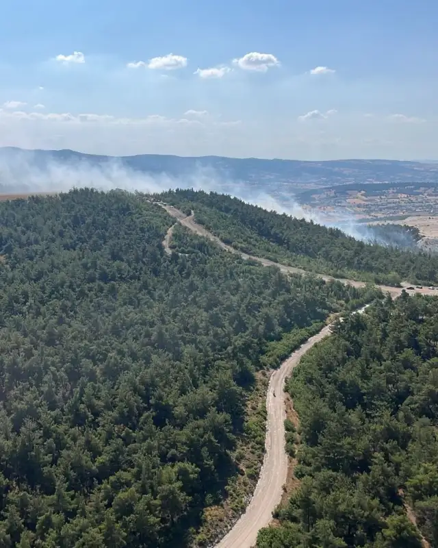 Balıkesir'deki yangına havadan ve karadan müdahale ediliyor
