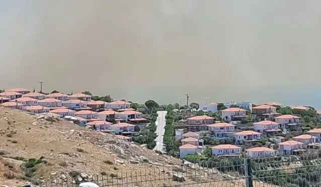 Çeşme'de ormanlık alanda çıkan yangında 3 kişi öldü