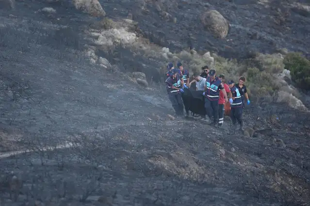 İzmir'in Çeşme ilçesindeki yangınla ilgili gözaltı sayısı 5'e çıktı
