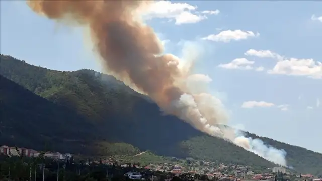 Denizli'de çıkan orman yangını kontrol altına alındı