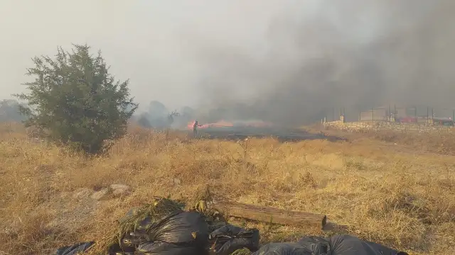 İzmir'de askeri bölgede başlayan yangın ormana sıçradı