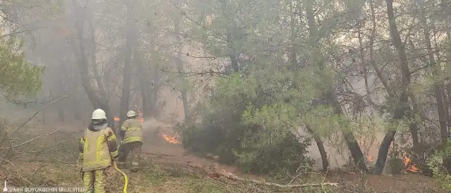 İzmir İtfaiyesi kentin dört bir yanında yangınlarla mücadele ediyor