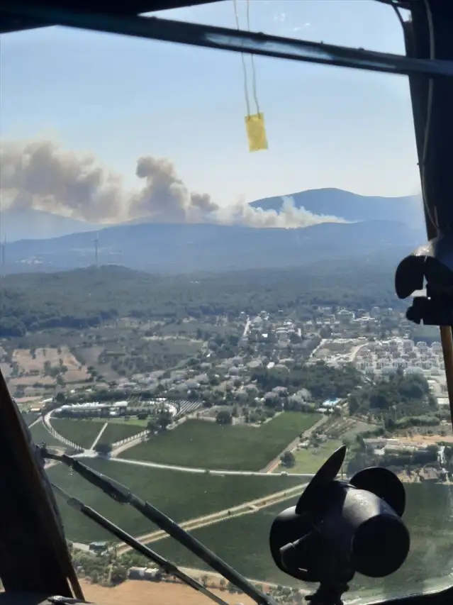 İzmir Urla'da orman yangını