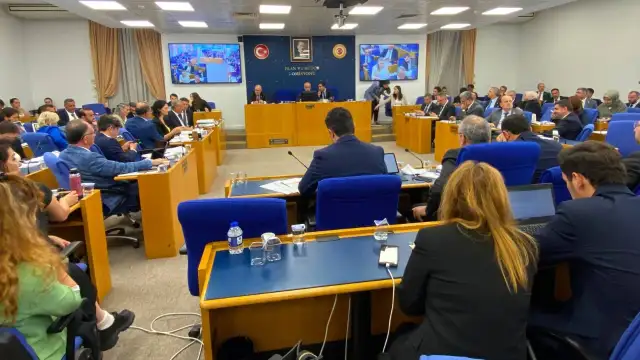 Sokak hayvanlarına 'ötanazi' teklifi komisyonda kabul edildi