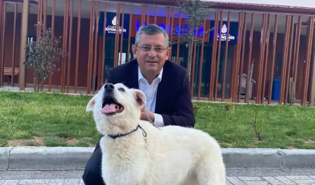 Özgür Özel'den sokak hayvanları için hazırlanan etikete destek