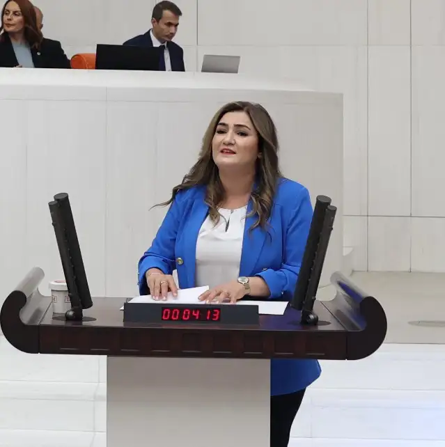 CHP İzmir Milletvekili Sevda Erdan Kılıç, TBMM’de roman dosyasını açtı