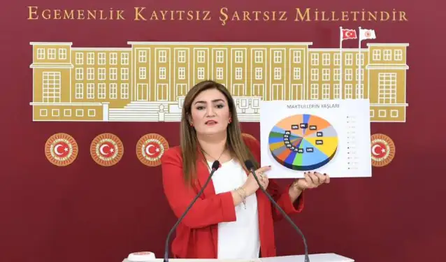Sevda Erdan Kılıç: Bu yılın ilk 6 ayında aile içi cinayetlerde 24 çocuk hayatını kaybetti