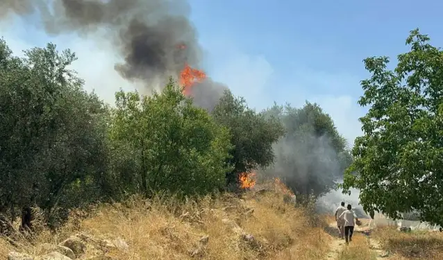 Antalya'da çıkan orman yangını kontrol altına alındı