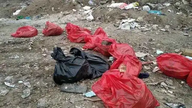 Ankara Altındağ'da hayvan katliamı: Poşetler içinde onlarca ölü köpekler…