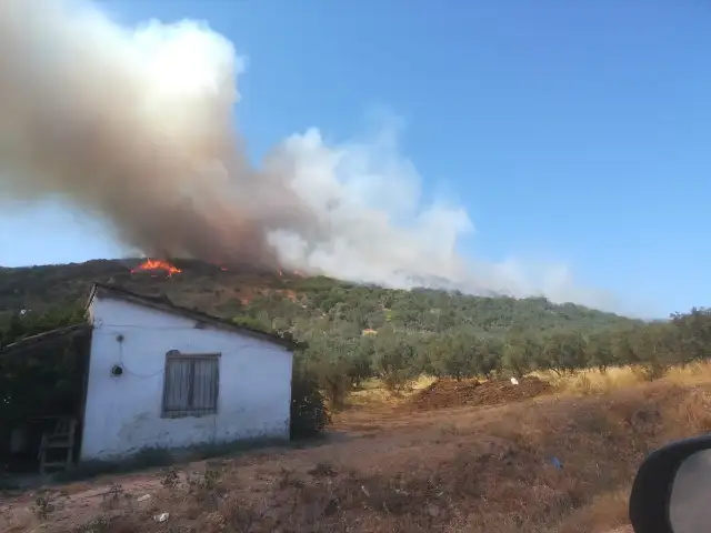 Balıkesir Erdek'te orman yangını: 37 araçla müdahale ediliyor