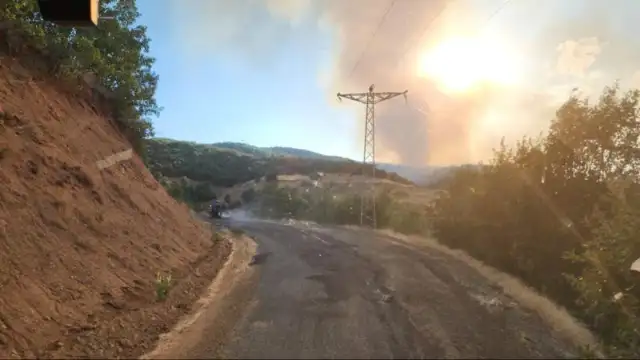 Bingöl'de orman yangını