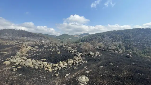 Bolu'da kontrol altına alınan yangında soğutma çalışması sürüyor