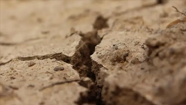 Avrupa'nın doğusunda kuraklık koşulları kötüleşiyor