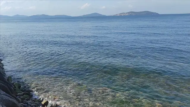 Oksijeni azalan Marmara Denizi için "koma" tespiti