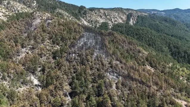 Karabük'te yanan alanlar havadan görüntülendi