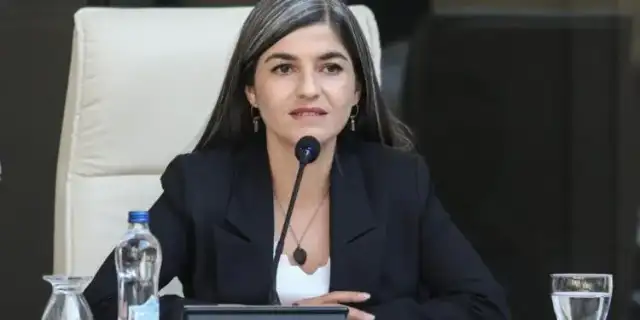 Van Gölü toplantısına DEM Partili belediyeler çağırılmadı