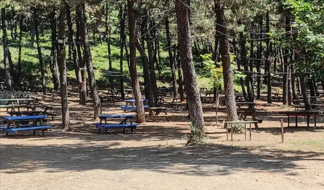 Piknik ateşi yakan 3 kişiye para cezası