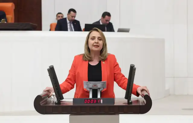 CHP’li Dinçer: AKP iktidarı 2024 yılının ilk 7 ayında faize 618 milyar lira ödedi