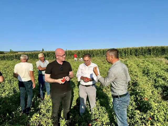 CHP'li Sarı: Domates üreticisi zor durumda, acilen çözüm üretin