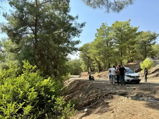 Muğla'da bebeğin ormana terk edilmesine ilişkin 2 şüpheliye gözaltı