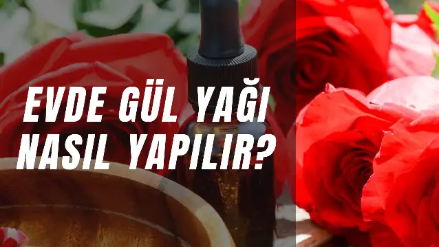 Evde Gül Yağı Nasıl Yapılır? Hangi Gül Kullanılır? Tarifi ve Faydaları!