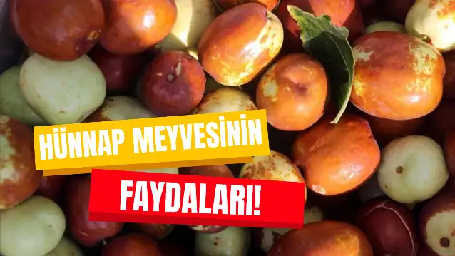 “Ölümsüzlük Meyvesi” Olarak da Biliniyor! Hünnapın Faydaları Nelerdir?