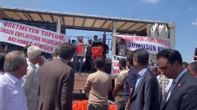 Konya Ereğli’de domatesi para etmeyen üretici ürününü yere döktü