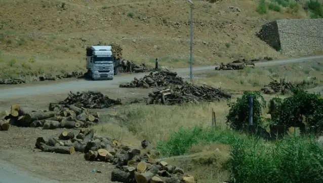 ÖHD, 'Mevzuata uygun' orman kıyımı yargıya taşınıyor