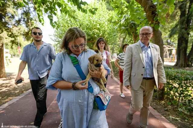 Sahipsiz Köpek Popülasyonu Yönetimi İzmir Eylem Planı hazırlandı
