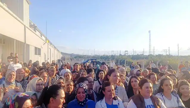 Akhisar'da sendika isteyen 307 işçi işten atıldı