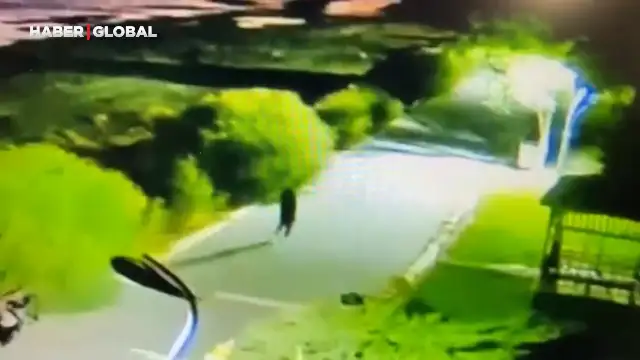 Van'da kaybolan Rojin’in son görüntüleri ortaya çıktı