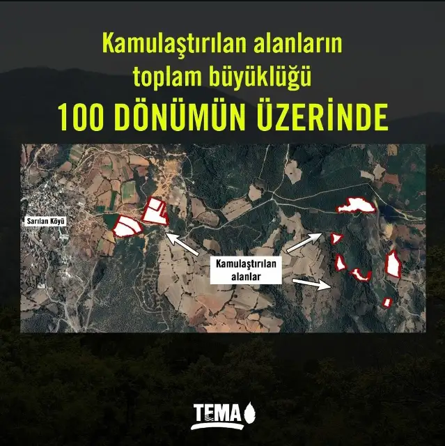 TEMA Vakfı'ndan Sarıalan Altın Madeni Projesine itiraz: Acele kamulaştırma kararı geri çekilmeli, ekosistem korunmalı