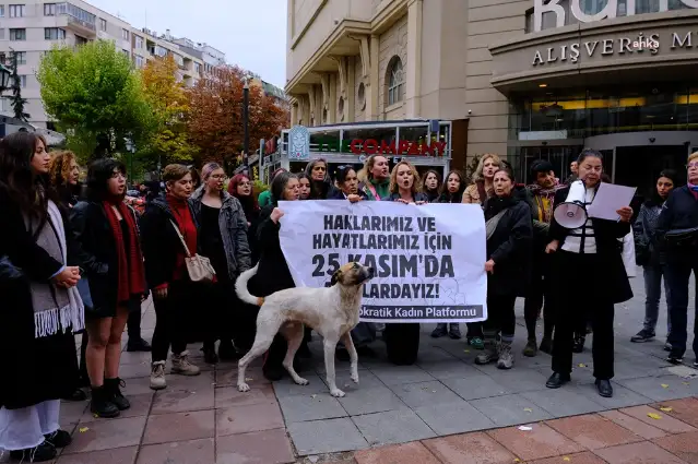 Eskişehir’de kadınlardan 25 Kasım çağrısı: Şiddete karşı birlikte yürüyelim